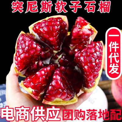 四川会里突尼斯石榴软籽石榴新鲜水果石榴产地直发|一件代发包邮