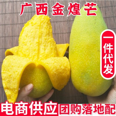 广西金煌芒果新鲜热带水果当季树熟水仙青金煌芒果丨现货一件代发