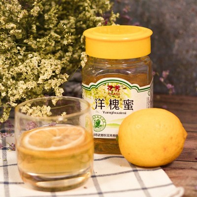 陇南特产武都花荠蜂蜜农家自产洋槐花蜜瓶装 480g批发包邮