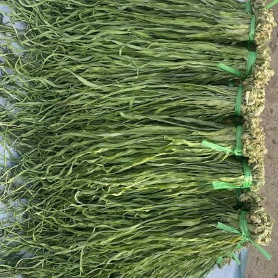 批发贡菜干云南苔干特级贡菜脱水蔬菜精选无叶贡菜一件代发图5