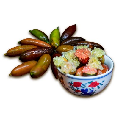 澳洲品种手指柠檬稀有四季拇指橙高端中西餐饮食材鱼籽酱水果柠檬图5