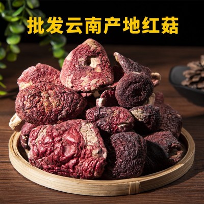 批发云南产地红菇月子标菇红魔菇散装500克产地一手货源一件代发
