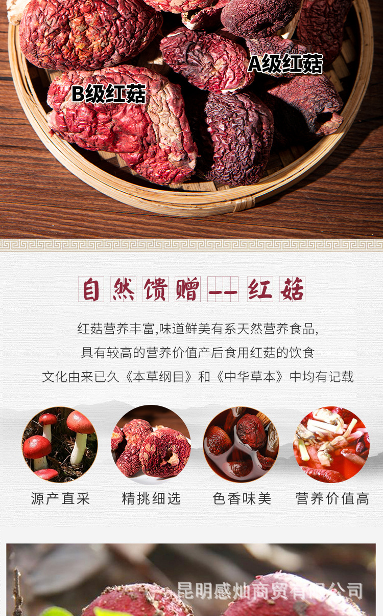 红菇_02.jpg
