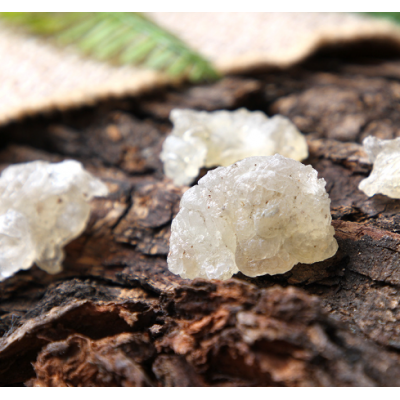 批发缅甸拉丝雪燕规格齐全桃胶皂角米雪燕组合装原料 大货批发图3