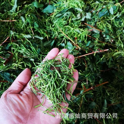 金银花金银花批发云南散装农产品金银花新花金银花露干花一手货源图5