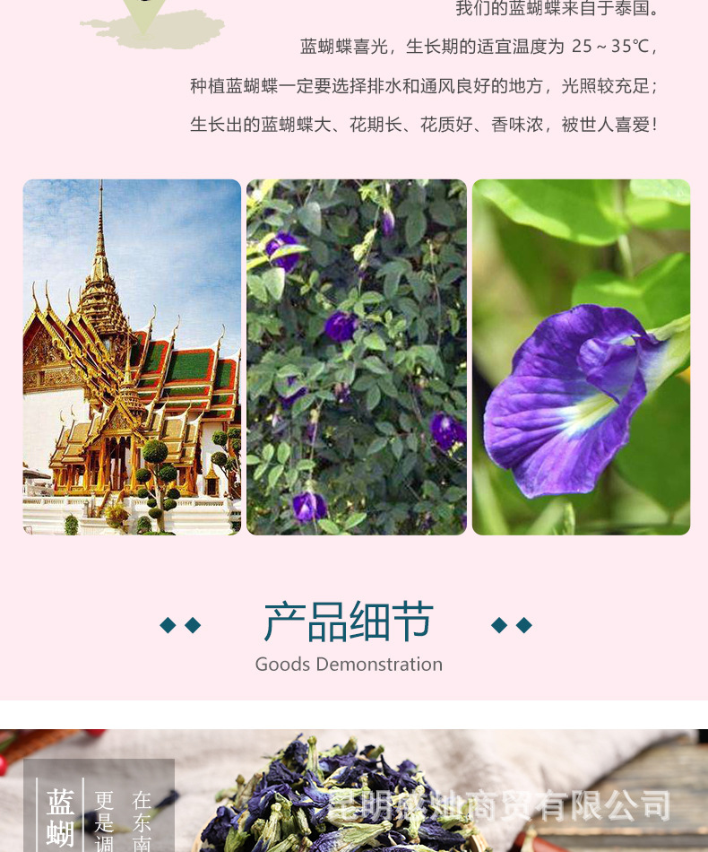蓝蝴蝶_05.jpg