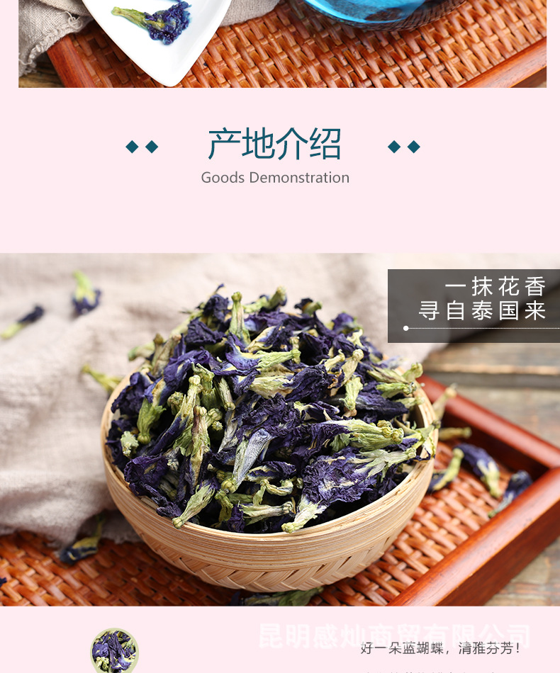 蓝蝴蝶_04.jpg