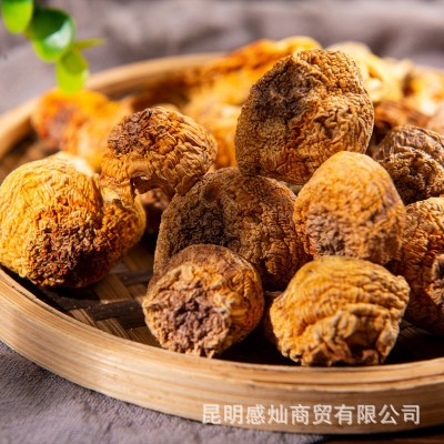 云南姬松茸羊肚菌茶树菇产地批发大中小菇多规格系列长短脚菇批发图4
