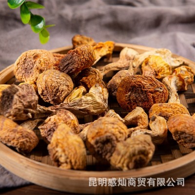 云南姬松茸羊肚菌茶树菇产地批发大中小菇多规格系列长短脚菇批发图2
