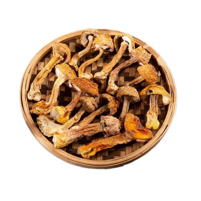 云南姬松茸羊肚菌茶树菇产地批发大中小菇多规格系列长短脚菇批发图5