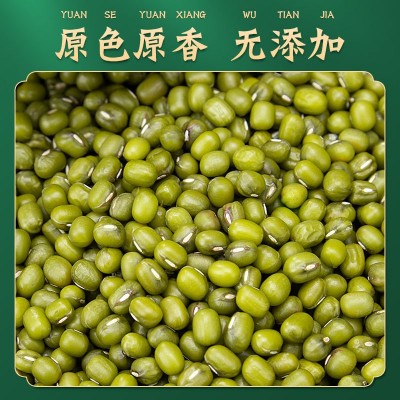 芽菜绿豆 芽绿豆 发芽绿豆 绿豆芽菜图2