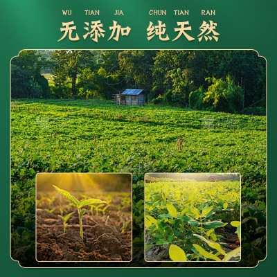 芽菜绿豆 芽绿豆 发芽绿豆 绿豆芽菜图3