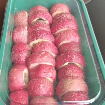 冻干山楂 解馋小零食 山楂制品 酸甜可口 旺民果蔬