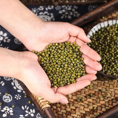 绿豆500g新货农家新鲜豆芽夏天生绿豆汤材料熟绿豆粥散装50斤图2