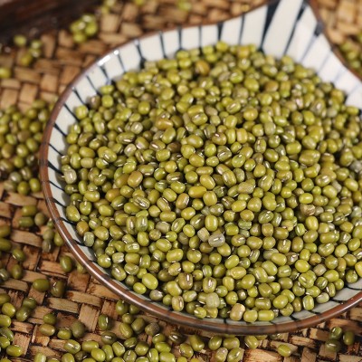 绿豆500g新货农家新鲜豆芽夏天生绿豆汤材料熟绿豆粥散装50斤