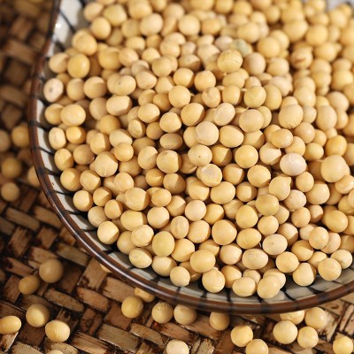 黄豆500g新豆生大豆打豆浆磨粉原料商用熟炒货散装50斤批发图3