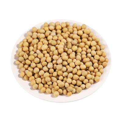 黄豆500g新豆生大豆打豆浆磨粉原料商用熟炒货散装50斤批发图2