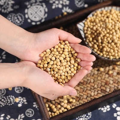 黄豆500g新豆生大豆打豆浆磨粉原料商用熟炒货散装50斤批发