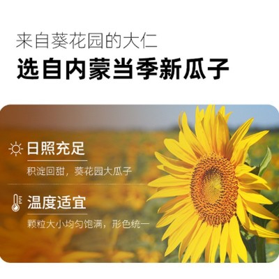 焦糖瓜子散装小包装五香葵花籽散装瓜子手抓包原味瓜子炒货批发图3