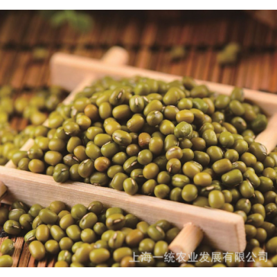 供应新绿豆五谷杂粮400g/袋 五谷杂粮粗粮易煮未脱皮绿豆沙绿豆图3