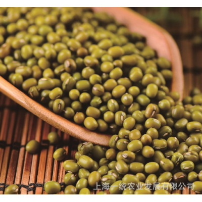 供应新绿豆五谷杂粮400g/袋 五谷杂粮粗粮易煮未脱皮绿豆沙绿豆图5