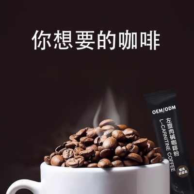 左旋肉碱咖啡粉 速溶咖啡100g工厂定制 膳食纤维代餐粉贴牌加工图4