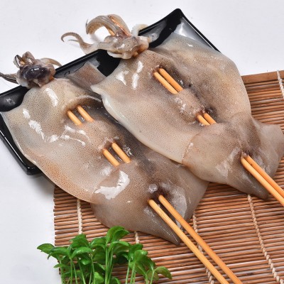 批发代理 整条鱿鱼100克阿根廷鱿鱼串烧烤原料轰炸冷冻铁板大鱿鱼图2
