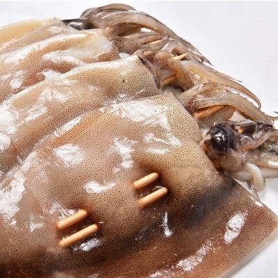 批发代理 整条鱿鱼100克阿根廷鱿鱼串烧烤原料轰炸冷冻铁板大鱿鱼图3
