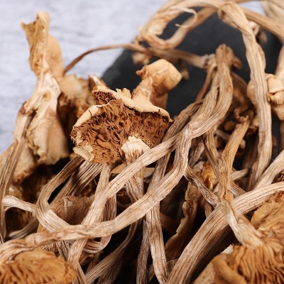【一件代发】源野茶树菇新货68g未开伞茶薪菇干货批发团购食用菌图3