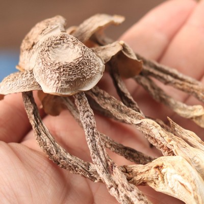 【一件代发】源野鹿茸菇68克干鹿茸菌菇干货批发云南特产年货新货图3