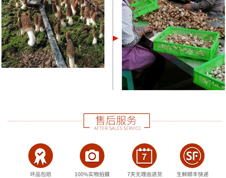 公司介绍_07