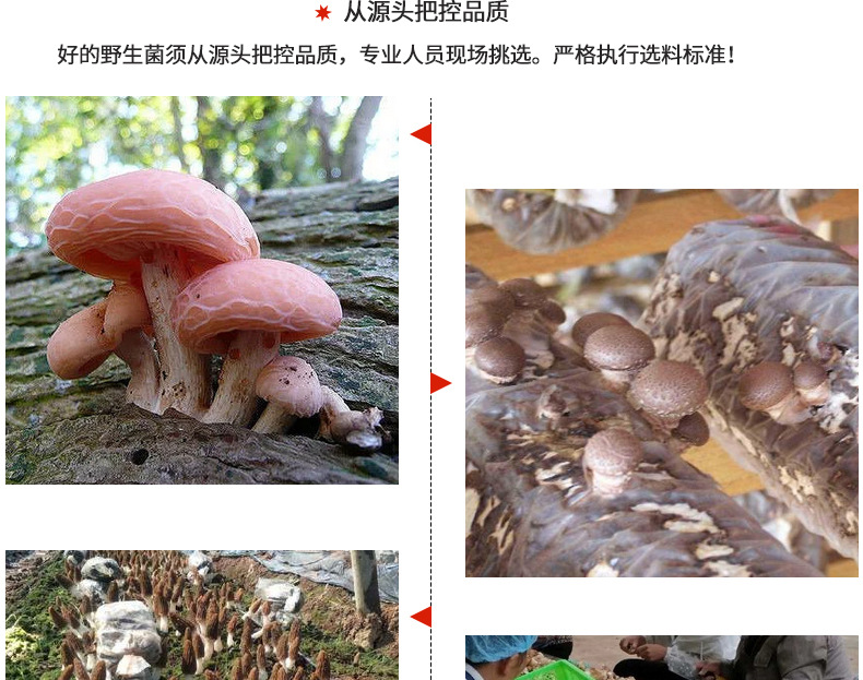 公司介绍_06