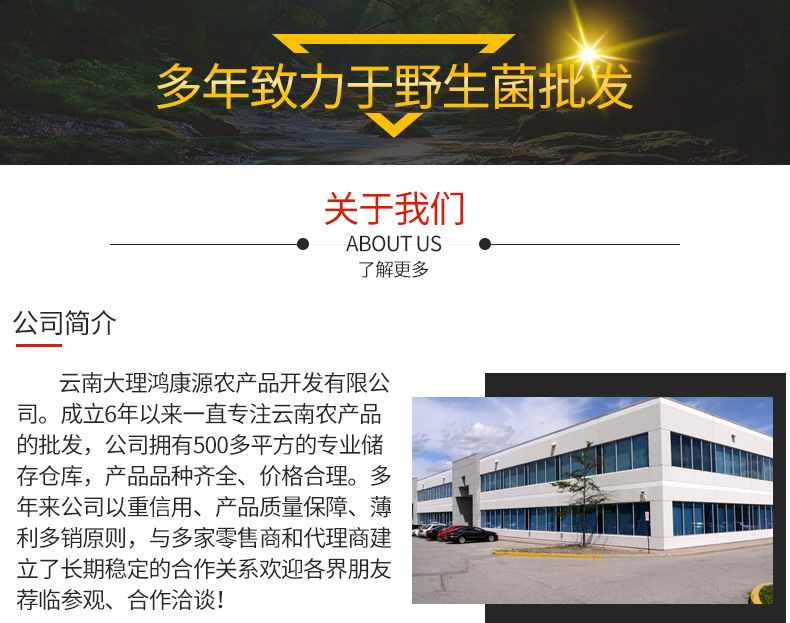 公司介绍_01