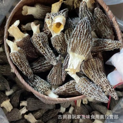 头茬云南羊肚菌干货500克剪柄无沙菌汤包煲汤食材干蘑菇肉厚鲜嫩图2