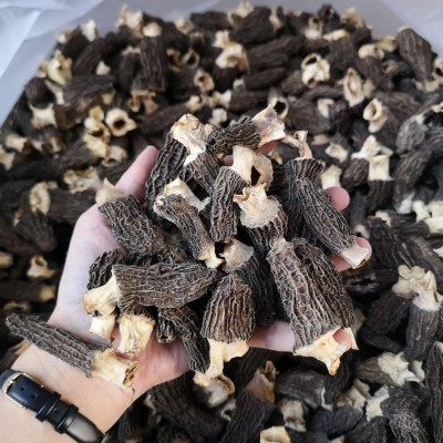 头茬云南羊肚菌干货500克剪柄无沙菌汤包煲汤食材干蘑菇肉厚鲜嫩图5