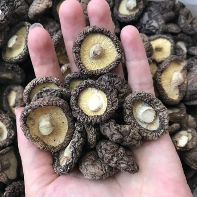 批发 小香菇古田蘑菇优质冬菇干菇水菇肉厚煲汤食材火锅500g图3