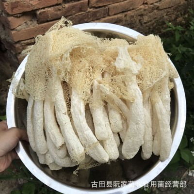当季新货古田竹荪干货500g竹笙菇蕾不熏硫磺农家货菌菇火锅食材图4