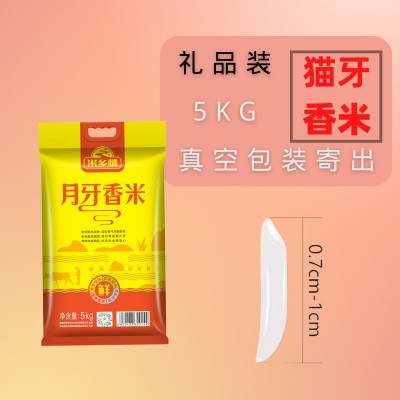 米乡情月牙香米20斤晚稻现磨一级丝苗米 推荐企业采购商用10KG