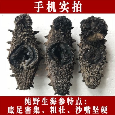 深海捕捞 野生淡干海参干货40-80头/斤 9年参龄刺参 15倍以上泡发率图2