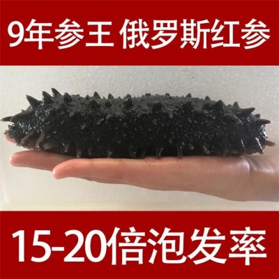足干 俄罗斯纯野生淡干海参干货 孕妇六排刺大红参 9年参龄 一手货源图2