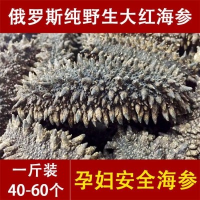 足干 俄罗斯纯野生淡干海参干货 孕妇六排刺大红参 9年参龄 一手货源图3