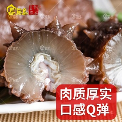 海参 6-9年高泡发率天然淡干刺参 厂家批发 规格任选