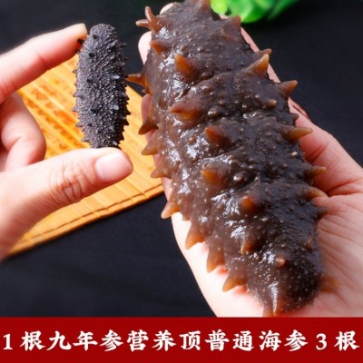 稀有9年参龄 深海捕捞 纯淡干海参干货20-30头/半斤 孕妇刺参图4