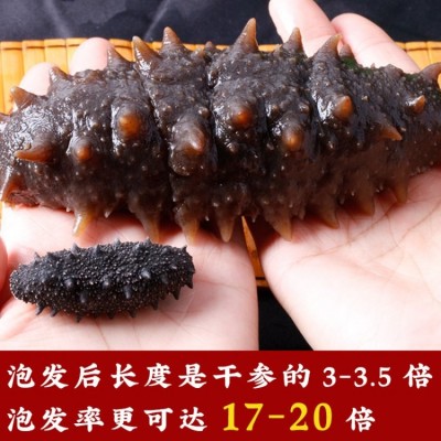 稀有9年参龄 深海捕捞 纯淡干海参干货20-30头/半斤 孕妇刺参图2