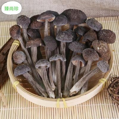 黑皮鸡枞干货小黑鸡枞批发云南特产鸡枞蘑菇食用菌散装鸡枞菌