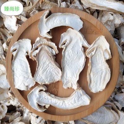 云南特产赤松茸批发 大球盖菇 雪山松茸赤松茸干片批发