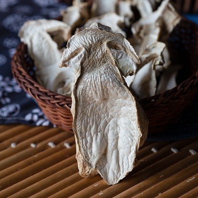 云南特产赤松茸批发 大球盖菇 雪山松茸赤松茸干片批发图4
