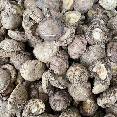 产地直供食用菌精选冬菇香菇剪脚肉厚煲汤食材干香菇批发一件代发