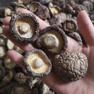 产地直供食用菌精选冬菇香菇剪脚肉厚煲汤食材干香菇批发一件代发图3