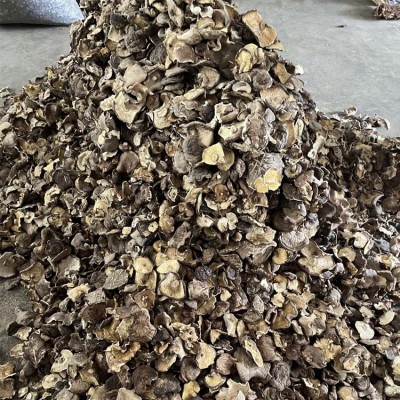 包邮2023大片香菇菜菇干香菇干蘑菇产地直供大片香菇蘑菇干图4